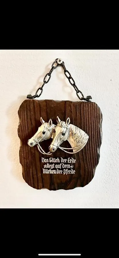 Golden Horse Apartments Wenen Oostenrijk
