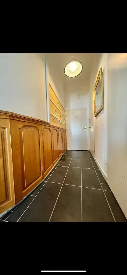 Golden Horse Apartments 维也纳 奥地利